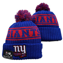 NFL Beanies(53)