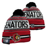 NHL Beanies(22)