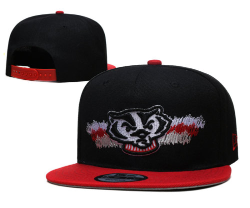 NCAA Wisconsin Badgers Snapback Hat(3)