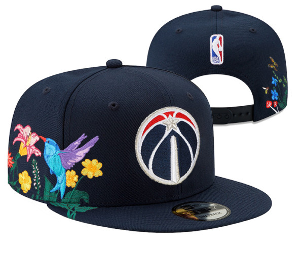 NBA Washington Wizards Snapback Hat(1)