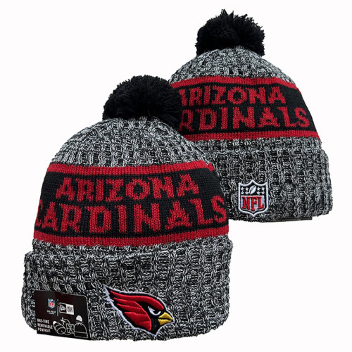 NFL Beanies(118)