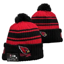 NFL Beanies(169)