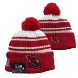 NFL Beanies(141)