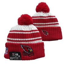 NFL Beanies(141)