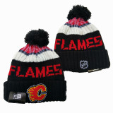 NHL Beanies(29)