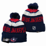 NHL Beanies(42)