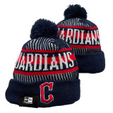 MLB Beanies (48)