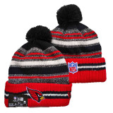 NFL Beanies(210)
