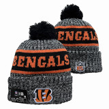 NFL Beanies(128)