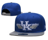 NCAA Kentucky Wildcats Snapback Hat(1)