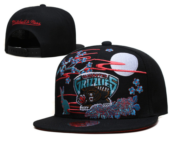 NBA Memphis Grizzlies Snapback Hat(4)
