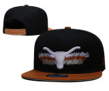 NCAA Texas Longhorns Snapback Hat(1)