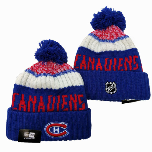 NHL Beanies(14)