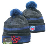 NFL Beanies(147)