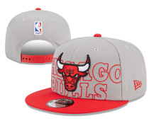 NBA Chicago Bulls Snapback Hat(7)