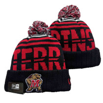 NCAA Beanies (10)