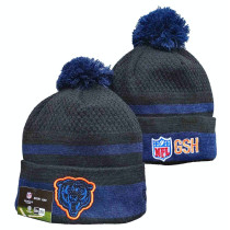 NFL Beanies(160)