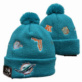 NFL Beanies(25)