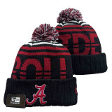 NCAA Beanies (23)