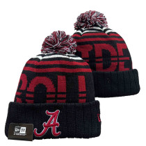 NCAA Beanies (23)