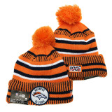 NFL Beanies(246)