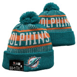 NFL Beanies(21)