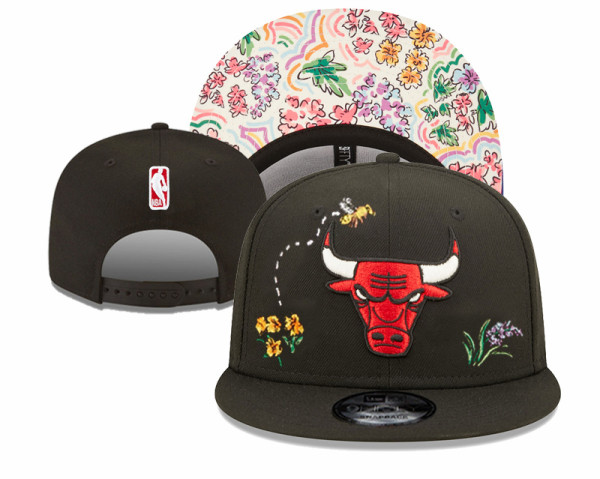 NBA Chicago Bulls Snapback Hat(3)