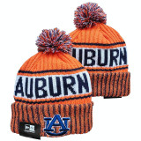 NCAA Beanies (35)