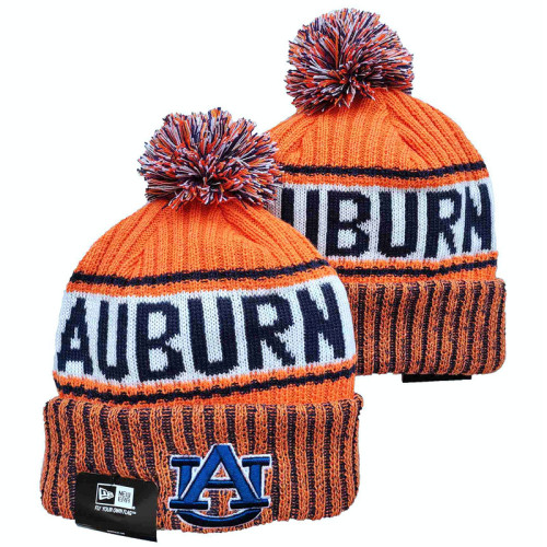NCAA Beanies (35)