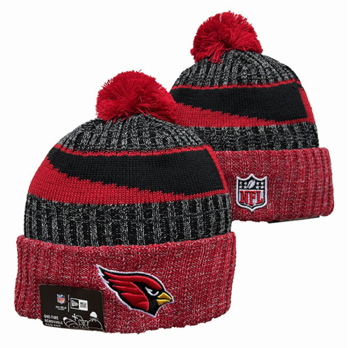 NFL Beanies(80)