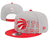 NBA Toronto Raptors Snapback Hat(1)