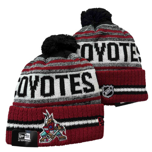 NHL Beanies(19)