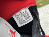 Authentic Air Jordan 5 Low “Alternate”