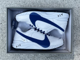Authentic Nike Air Grudge Leather 1995 White/Blue