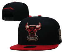 NBA Chicago Bulls Snapback Hat  (11)