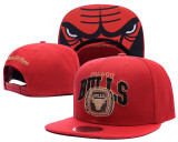 NBA Chicago Bulls Snapback Hat  (46)