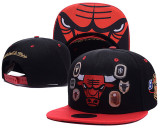 NBA Chicago Bulls Snapback Hat  (25)