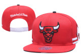 NBA Chicago Bulls Snapback Hat  (44)
