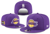 NBA Los Angeles Lakers Snapback Hat (16)