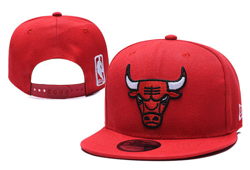 NBA Chicago Bulls Snapback Hat  (52)