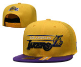 NBA Los Angeles Lakers Snapback Hat (39)