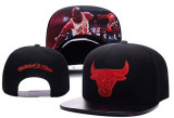 NBA Chicago Bulls Snapback Hat  (48)