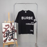 Burberry T-shirt S-XL (32)