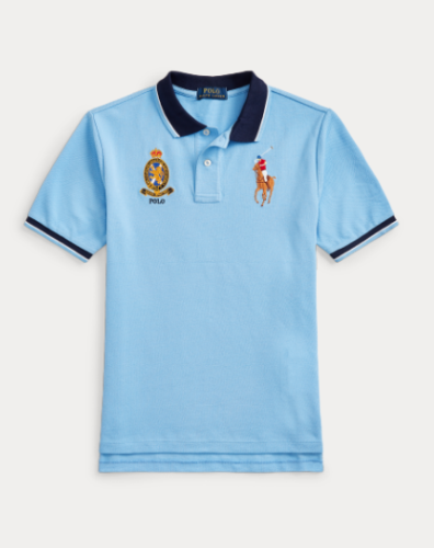 Ralph Lauren Polo Shirts S-XXL(296)