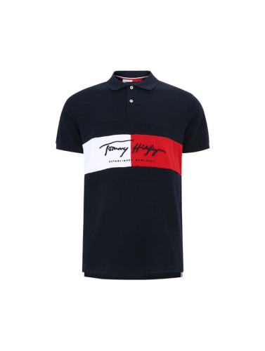 Tommy Polo shirts M-XXL (19)