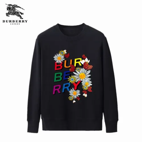 Burberry Hoodies S-2XL  (1)