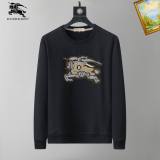 Burberry Hoodies M-3XL (206)