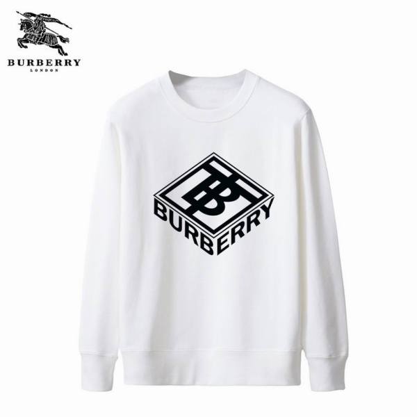 Burberry Hoodies S-2XL (50)