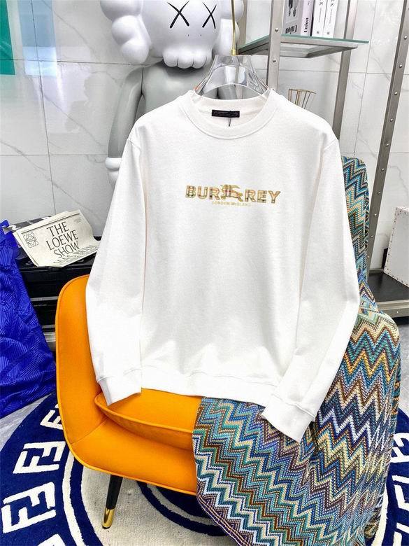 Burberry Hoodies M-3XL (200)