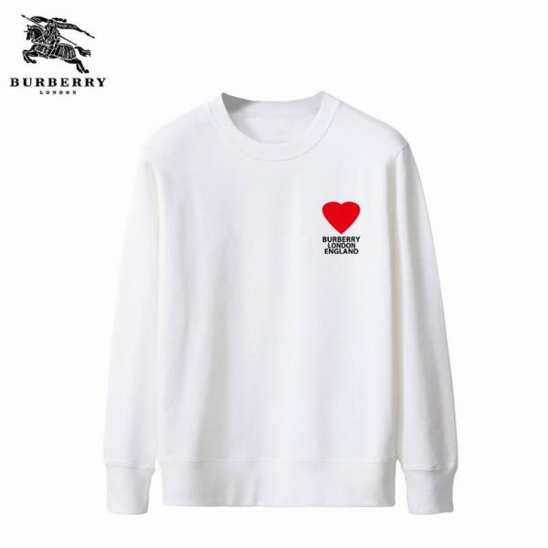 Burberry Hoodies S-2XL (8)